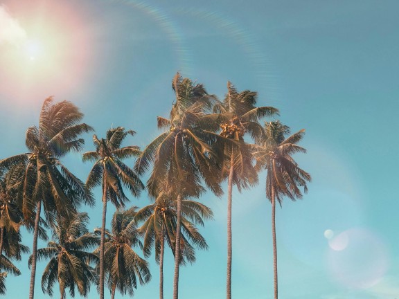 summer