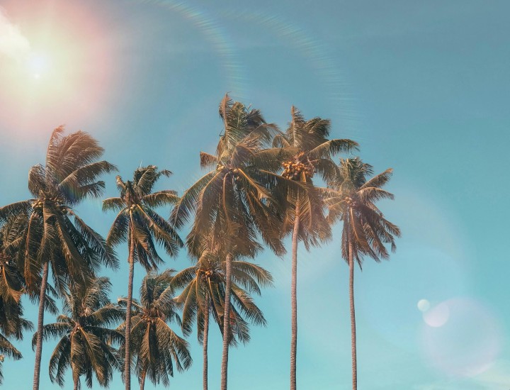 summer